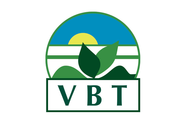 VBT